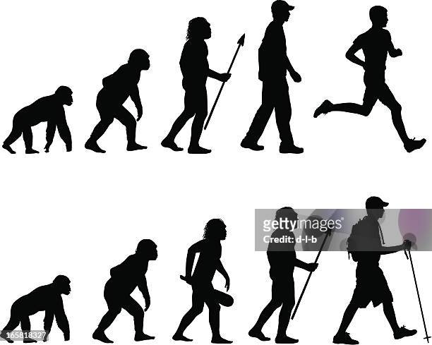 stockillustraties, clipart, cartoons en iconen met evolution of the runner and hiker - aap