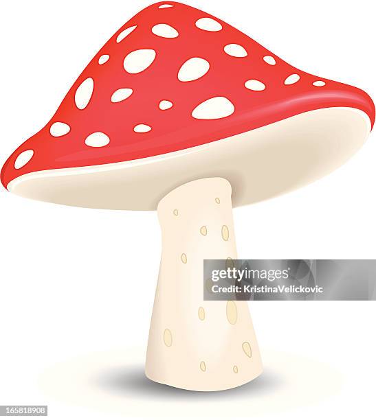 bildbanksillustrationer, clip art samt tecknat material och ikoner med red and white mushroom with a white background - giftsvamp
