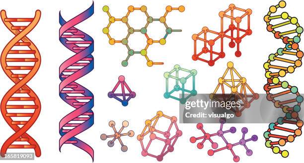 Dna Vaihtolaite 115 Dna Helix Clip Art High Res Illustrations - Getty Images