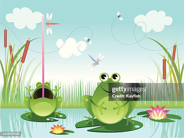 frogs in a pond - reed grass family stock illustrations