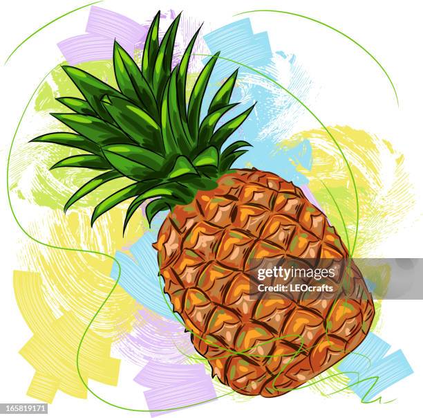 tasty pineapple - pineapple texture stock illustrations