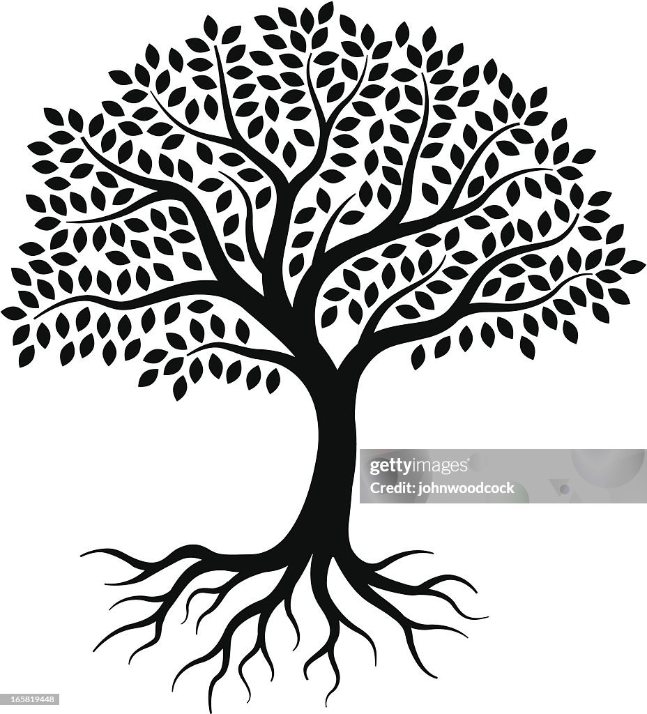 Small Tree Visual Little Tree High-Res Vector Graphic - Getty Images