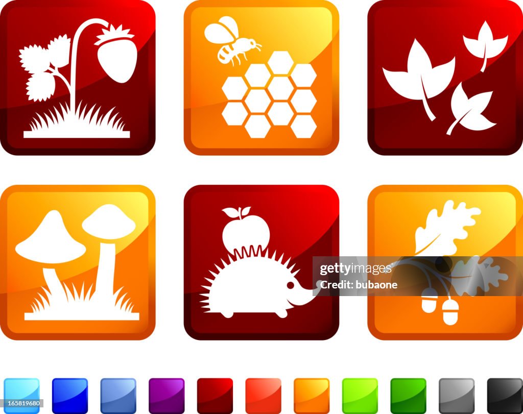 Autumn Nature and Ecology royalty free vector icon set stickers