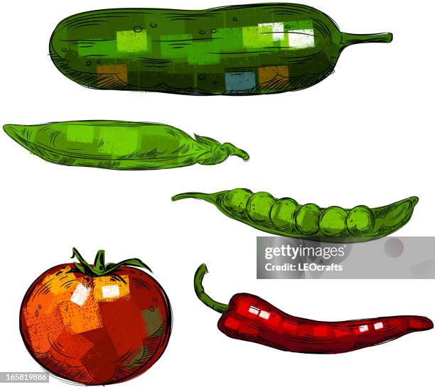 fresh vegetables isolated on white - red chilli background stock illustrations