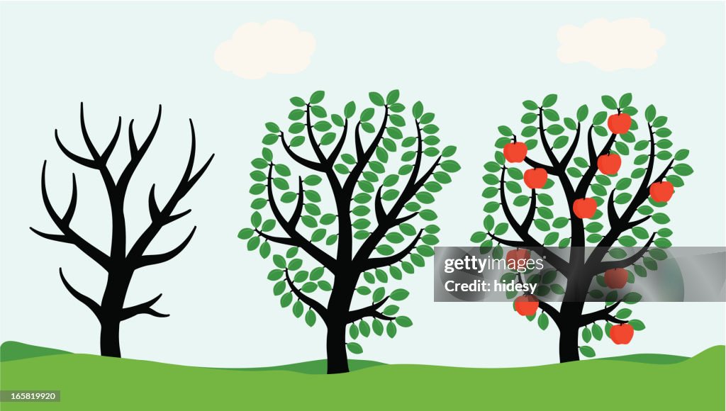 Tree Progress Bar Hundred Tree Progress Chart High-Res Vector Graphic - Getty Images
