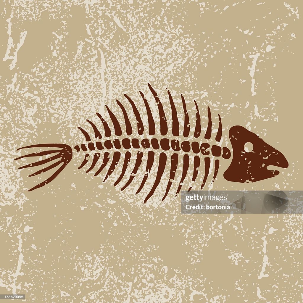 Antiga símbolos: Ossos de peixe