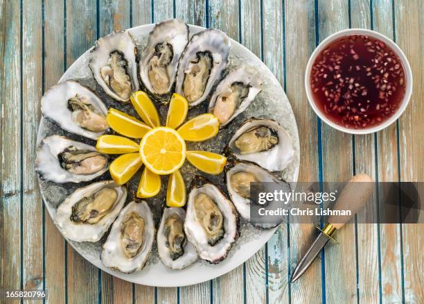 a dozen fresh oysters - lindisfarne stock pictures, royalty-free photos & images