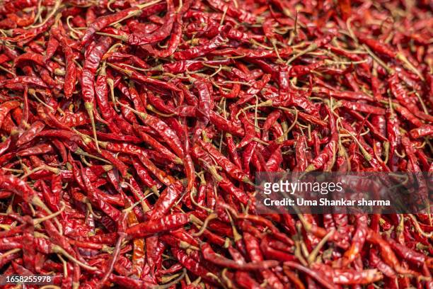 full frame hot red chili background - chilli stock pictures, royalty-free photos & images