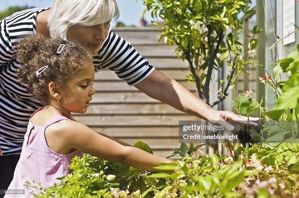 Grandmother and Granddaughter Gardening