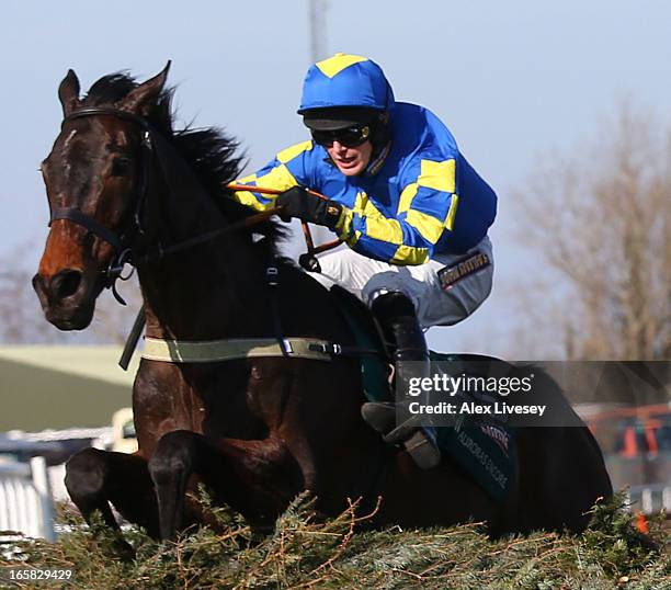 Ryan Mania riding Auroras Encore clears the last to win the John Smiths Grand National Steeple Chase at Aintree Racecourse on April 6, 2013 in...
