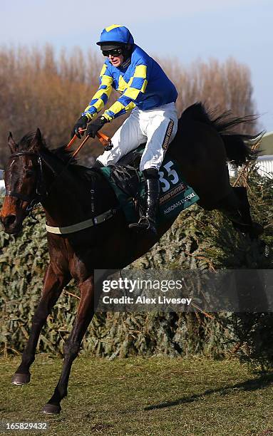 Ryan Mania riding Auroras Encore clears the last to win the John Smiths Grand National Steeple Chase at Aintree Racecourse on April 6, 2013 in...