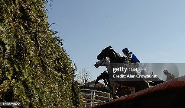 Ryan Mania riding Auroras Encore clear the 19th fence on their way to winning The John Smith's Grand National Steeple Chase at Aintree racecourse on...