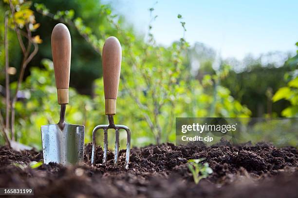 gärtnern hand kelle-handwerk und garten und gabel stehen in der garten-boden - gartengerät stock-fotos und bilder