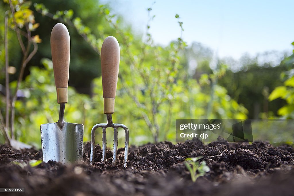 Giardinaggio mano Trapiantatoio e forchetta in piedi nel giardino del suolo