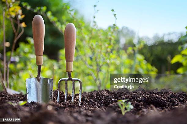 gardening hand trowel and fork standing in garden soil - work tool stock pictures, royalty-free photos & images