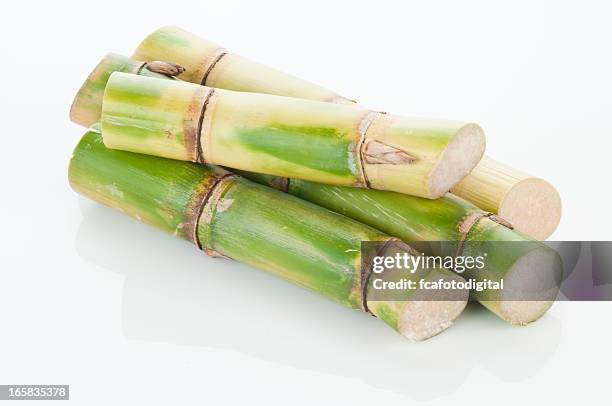 sugar cane. - sugar cane stock pictures, royalty-free photos & images