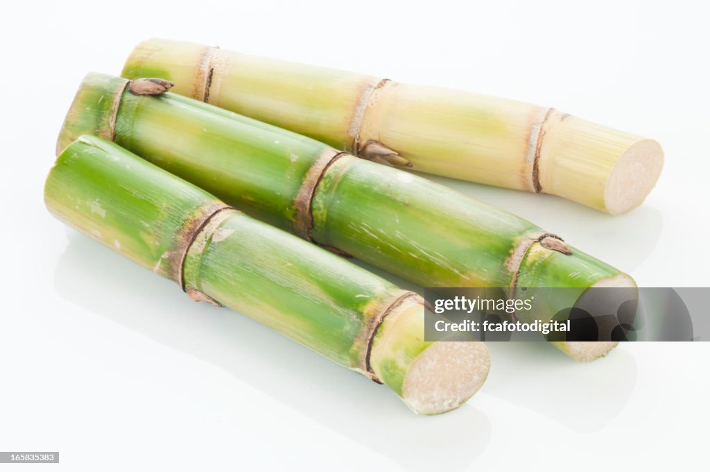 Three sugar cane sticks on white backdrop with clipping path