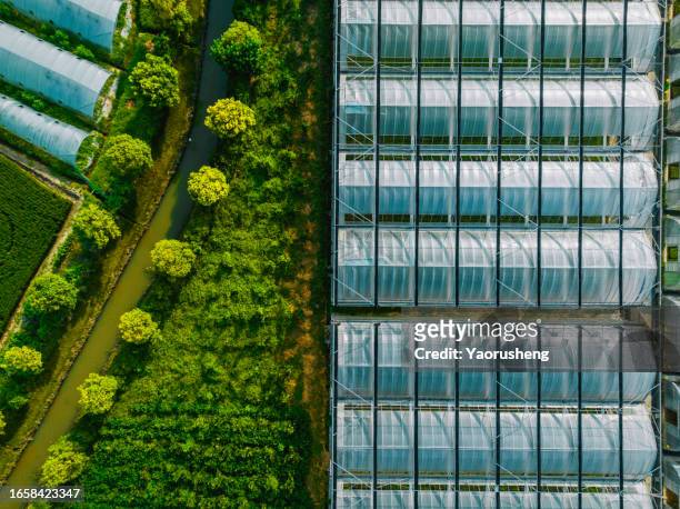 aerial view of greenhouse for growing vegetable and plants - landwirtschaftsgeräte ansicht von oben stock-fotos und bilder