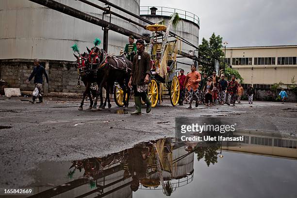 Sugar cane Bride, Nyai Kasih, and groom, Kyai Tumpak, are put on a carriage during the Cembengan ritual 'Manten Tebu' on April 6, 2013 in Yogyakarta,...