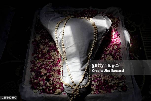 Buffalo head is covered in cloth as an offering during the Cembengan ritual 'Manten Tebu' on April 6, 2013 in Yogyakarta, Indonesia. The Cembengan...