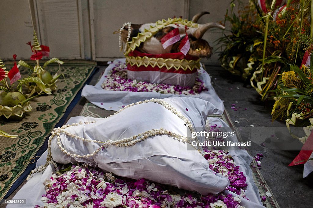 Cembengan Ceremony Held For Prosperous Sugar Harvest