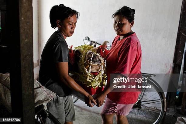 Women carry a cow's head as it is prepared as an offering during the Cembengan ritual 'Manten Tebu' on April 6, 2013 in Yogyakarta, Indonesia. The...