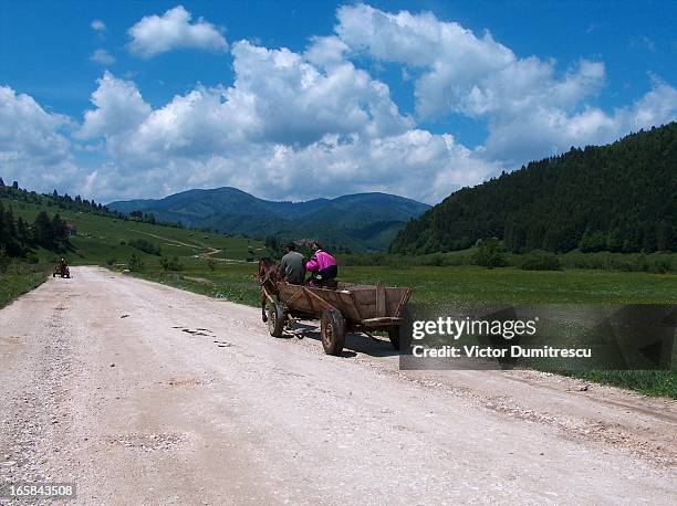 This picture was taken in National Park of Piatra Craiului on the road going to Plaiul Foii. Carpahian, Carpatii, Piatra Craiului, romanian...