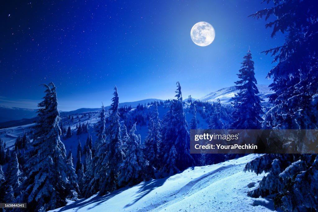 Winter moon