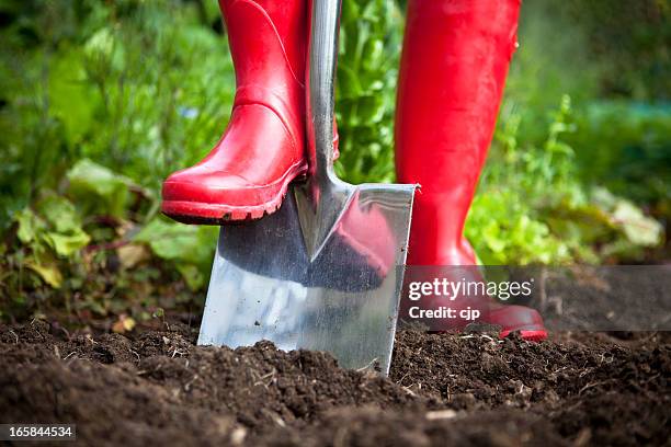 red boots digging with garden spade - digging stockfoto's en -beelden