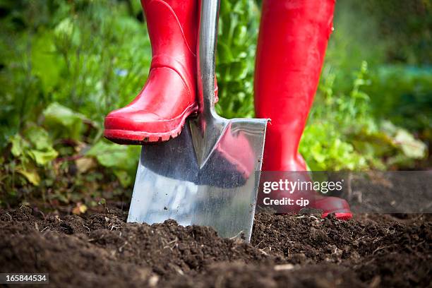 red boots digging with garden spade - shovel stock pictures, royalty-free photos & images