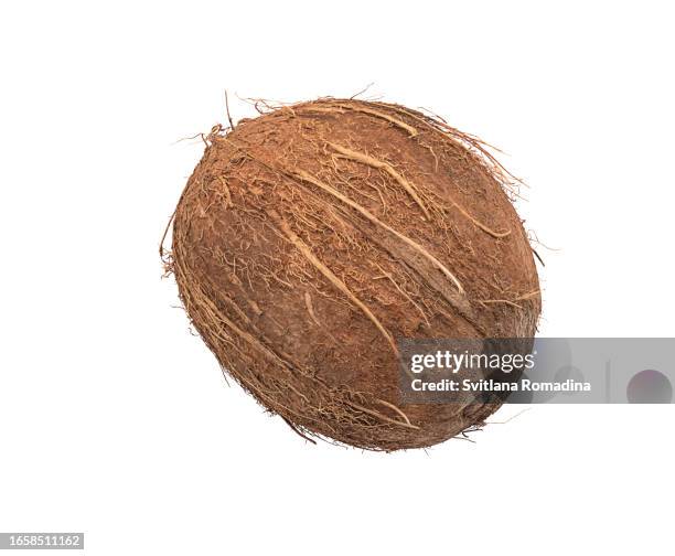 coconut on white background - kokosnuss stock-fotos und bilder