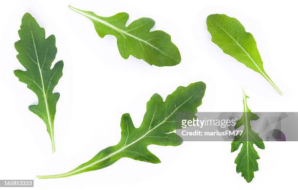 arugula set - leaf isolated stock pictures, royalty-free photos & images