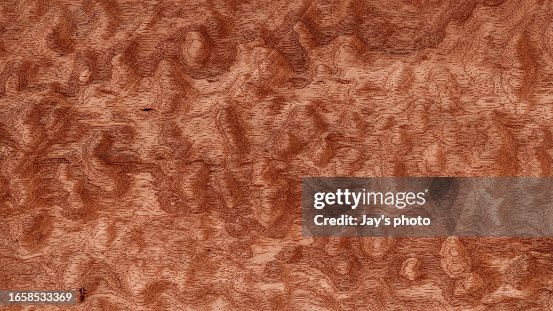 Rough nature pattern texture grain surface background, studio shot. Rough nature pattern texture grain surface background, studio shot.