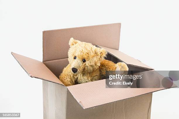 teddy bear inside a cardboard box looking around. - looking around on white background stock pictures, royalty-free photos & images