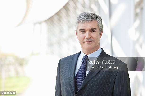 mature businessman - ceo portrait stock pictures, royalty-free photos & images