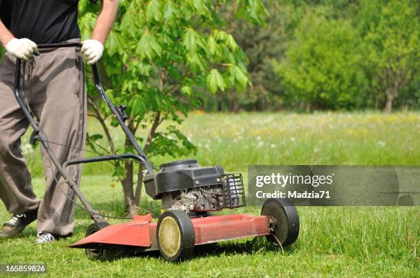 lawnmower - handgrasmaaier stockfoto's en -beelden