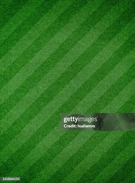 texture de l'herbe avec rayure - green de golf photos et images de collection