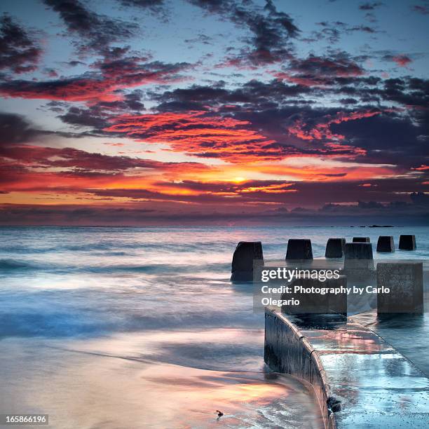 coogee.. - coogee beach bildbanksfoton och bilder