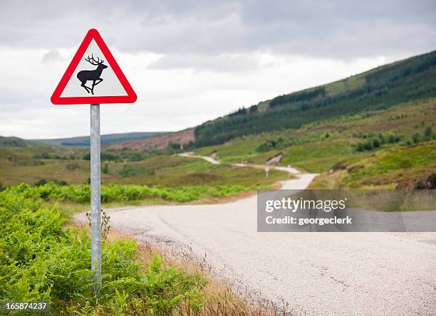 deer señal de alerta en carretera de campo - animal crossing sign fotografías e imágenes de stock