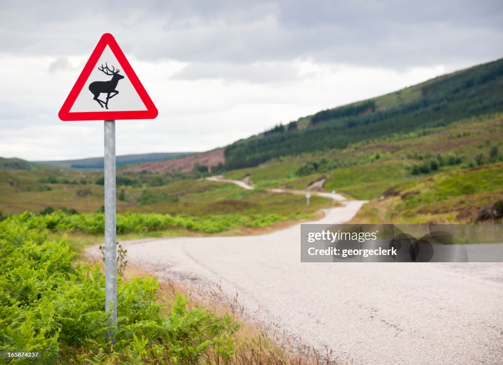 Deer Warning Sign on Country Road