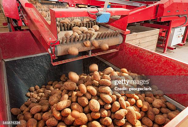 potato processing machine - food processing plant stockfoto's en -beelden