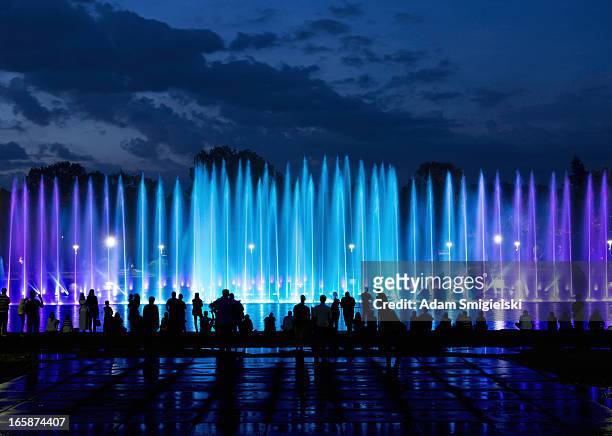 fountain show - audience in silhouette stock pictures, royalty-free photos & images