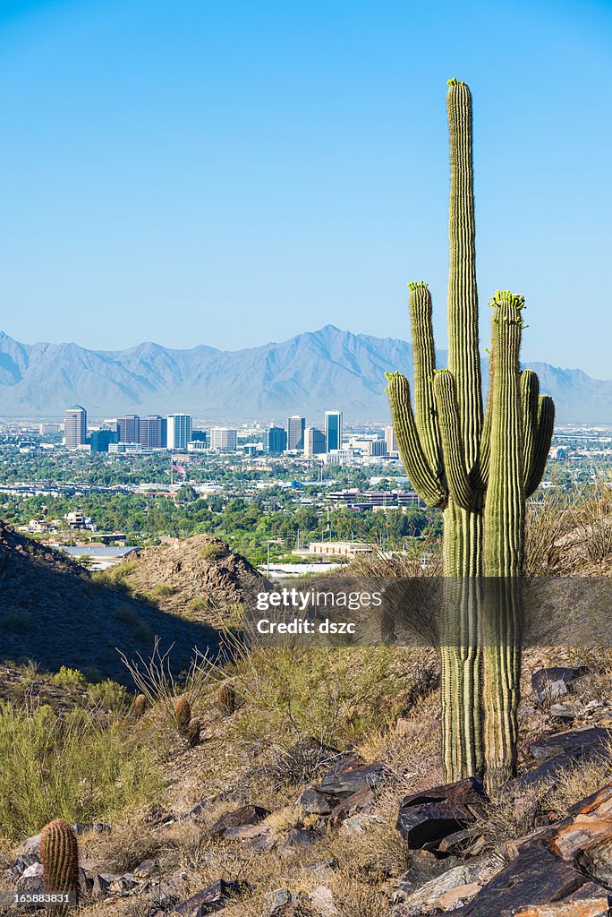 Skyline von Phoenix, umgeben von saguaro Kaktus und bergigen desert