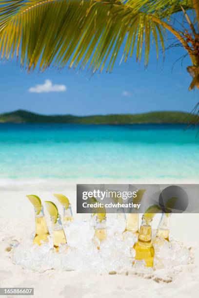 ice cold beers with limes under the palm tree - lime tree stockfoto's en -beelden