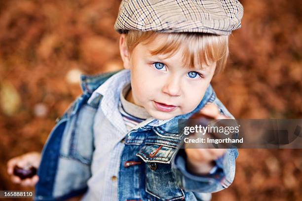 outono castanhas - camisa castanha imagens e fotografias de stock