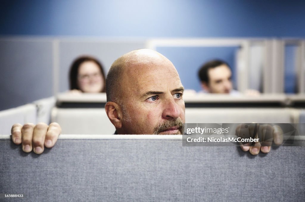 Cubicle Curiosity