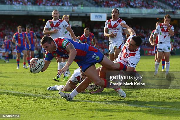 Darius Boyd of the Knights scores a try during the round five NRL match between the St George Illawarra Dragons and the Newcastle Knights at WIN...