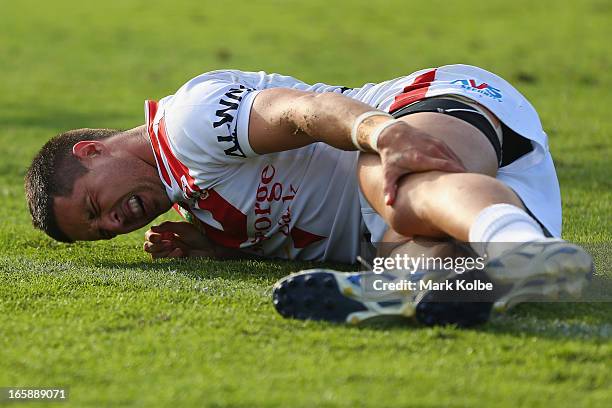 Gerard Beale of the Dragons grimaces as he holds his knee during the round five NRL match between the St George Illawarra Dragons and the Newcastle...