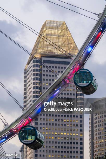 Grande roue et immeuble à Singapour le 27 février 2014.