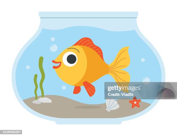 goldfisch in einer goldfischglas-vektorillustration - fishbowl stock-grafiken, -clipart, -cartoons und -symbole